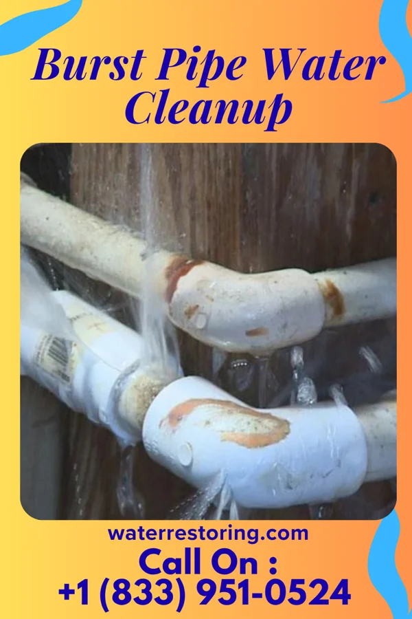 Burst Pipe Water Cleanup in Ivor, VA