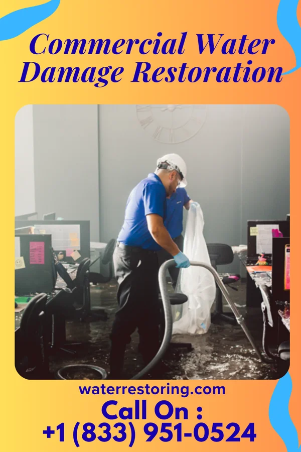 Commercial Water Damage Restoration in Ivor, VA