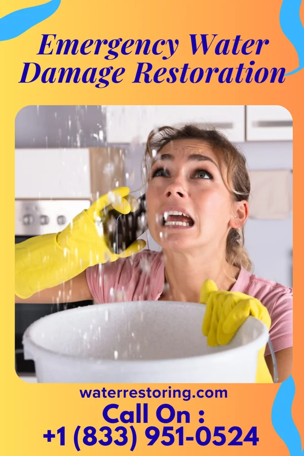 Emergency Water Damage Restoration in Ivor, VA