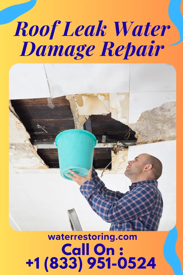 Roof Leak Water Damage Repair in Ivor, VA