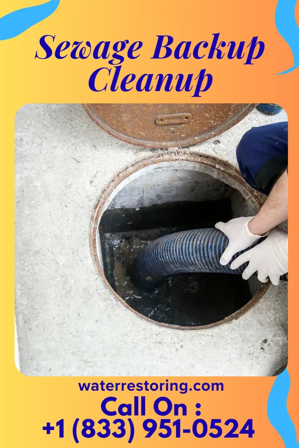 Sewage Backup Cleanup in Ivor, VA