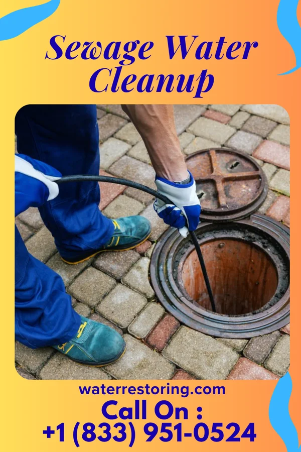 Sewage Water Cleanup in Ivor, VA